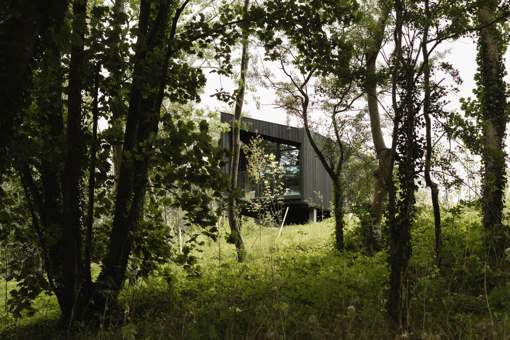 Scandi experience Irish style in architect-designed cabins in the woods