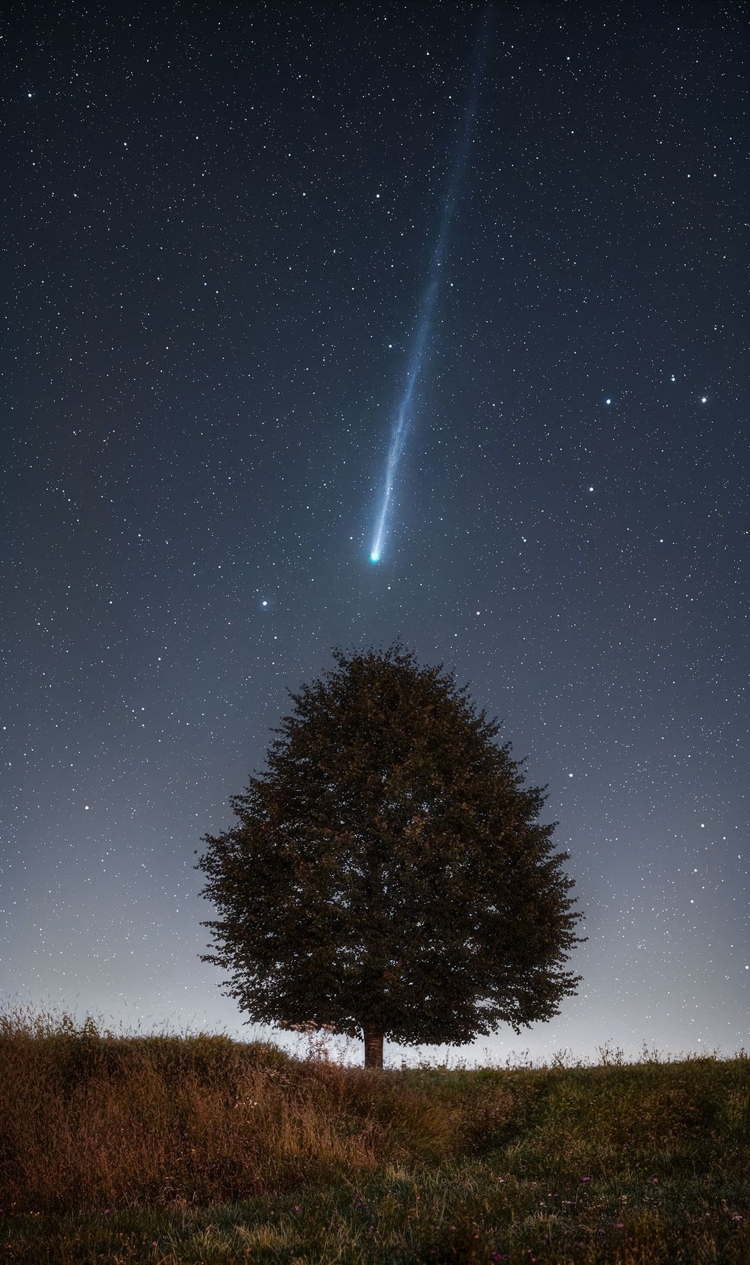 Comet Lemmon  photographed in Slovenia in early October.