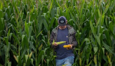 Corn, debt and doubt: A record harvest rattles Trump’s farm economy