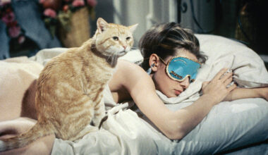 Audrey Hepburn with Orangey in Breakfast at Tiffany’s.