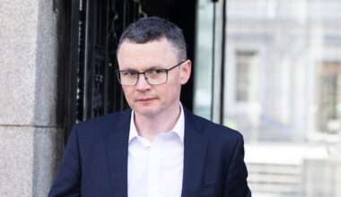 Basic income support scheme for artists to be made permanent and opened to new entrants in budget – The Irish Times