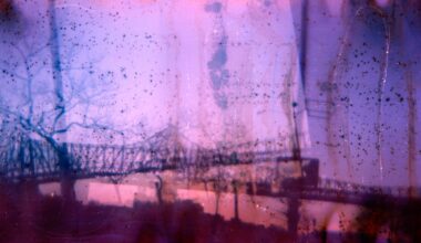 A silhouetted bridge and trees at sunset are visible through a hazy, textured layer of purple and pink colors, with spots and streaks creating an abstract, dreamy effect.
