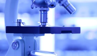 New insights reveal persistent genome structure during cell division