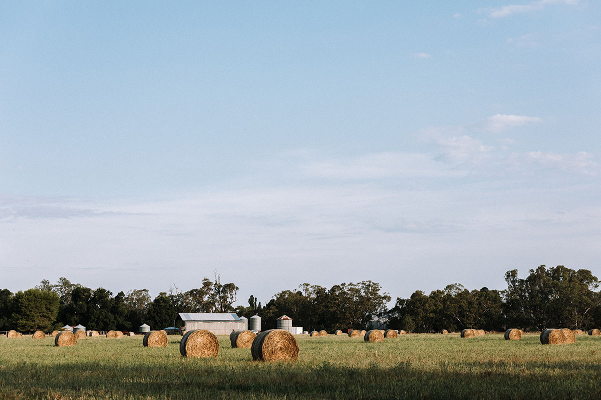 Trade tensions, sanctions and silence from the USDA