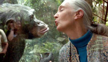 Jane Goodall modelled the behaviour we will need in a future world – The Irish Times