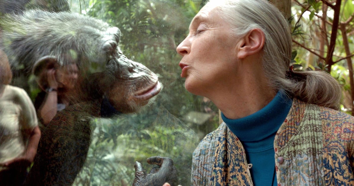 Jane Goodall modelled the behaviour we will need in a future world – The Irish Times