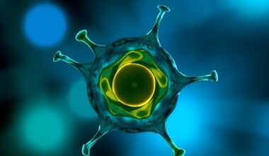 Optimal Blastocyst Count for PGT-A in RPL Patients