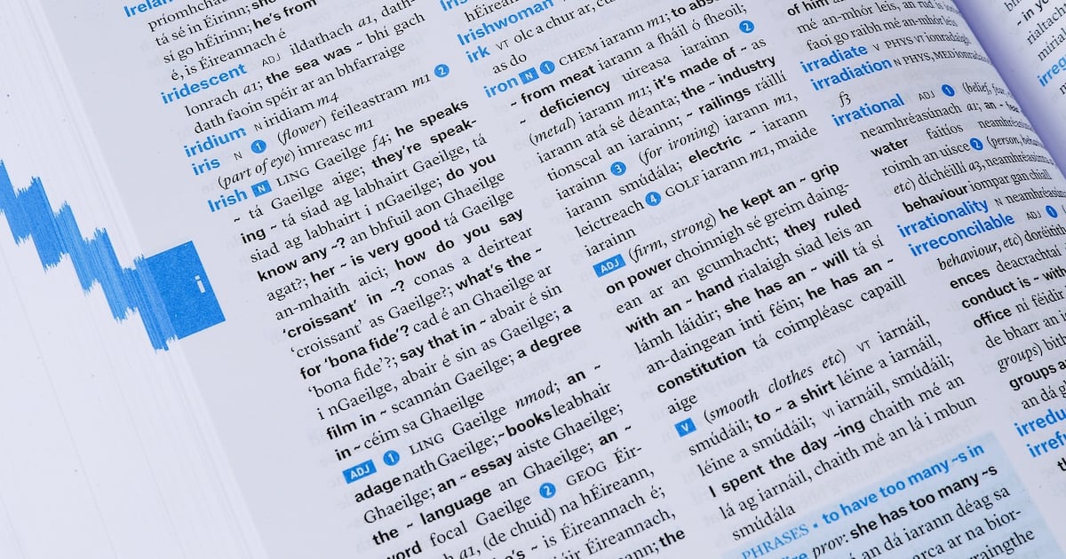 AI is smart, just don’t ask it to speak the Irish language – The Irish Times