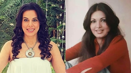 Pooja Bedi recalls being concerned after her visit to Parveen Babi.