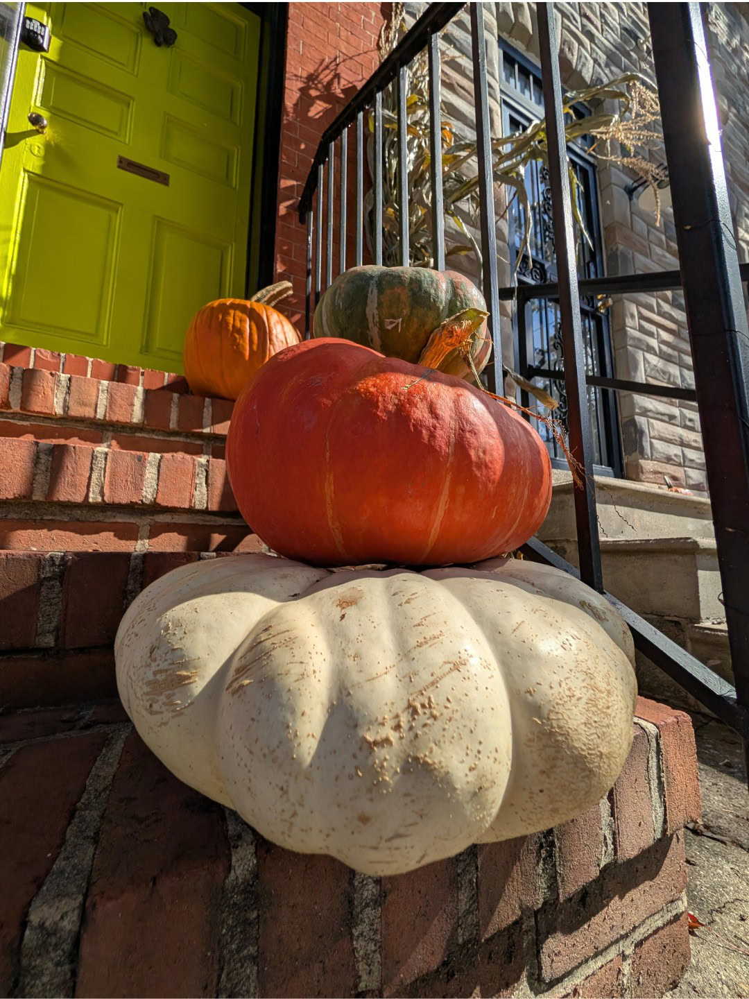 Pixel 10 Pro ultrawide pumpkin stack