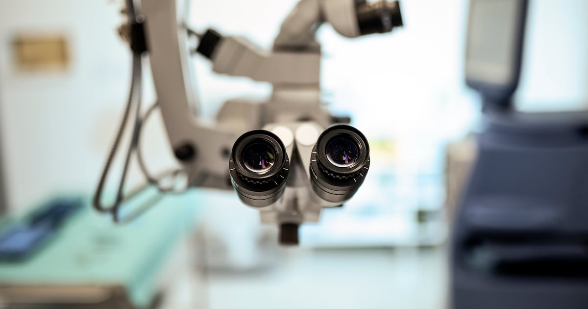 Eyecare group Veonet to create 160 jobs with five new clinics in the Republic – The Irish Times