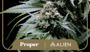 Proper Cannabis partners with Alien Genetics to launch historic Pheno Hunt — Greenway Magazine