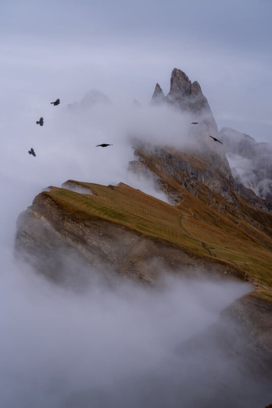 Jagged mountain peaks rise above a misty landscape, partially shrouded in clouds, with several black birds flying in the foreground and grassy slopes visible beneath the fog.
