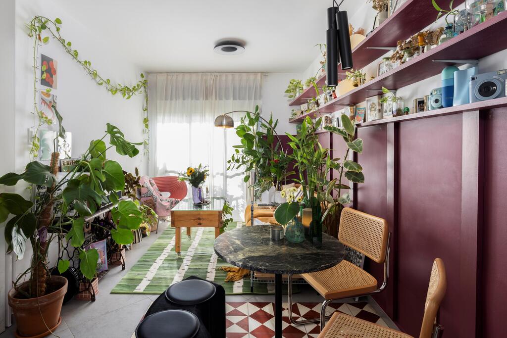 They filled the apartment with greenery and collections.  (Photo: Merav Felberg)  הבית של אביב קסלר, מדור כאן גרים