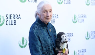 Leonardo DiCaprio Reveals His Last Message to Jane Goodall
