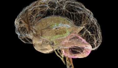 A human brain made with golden wires