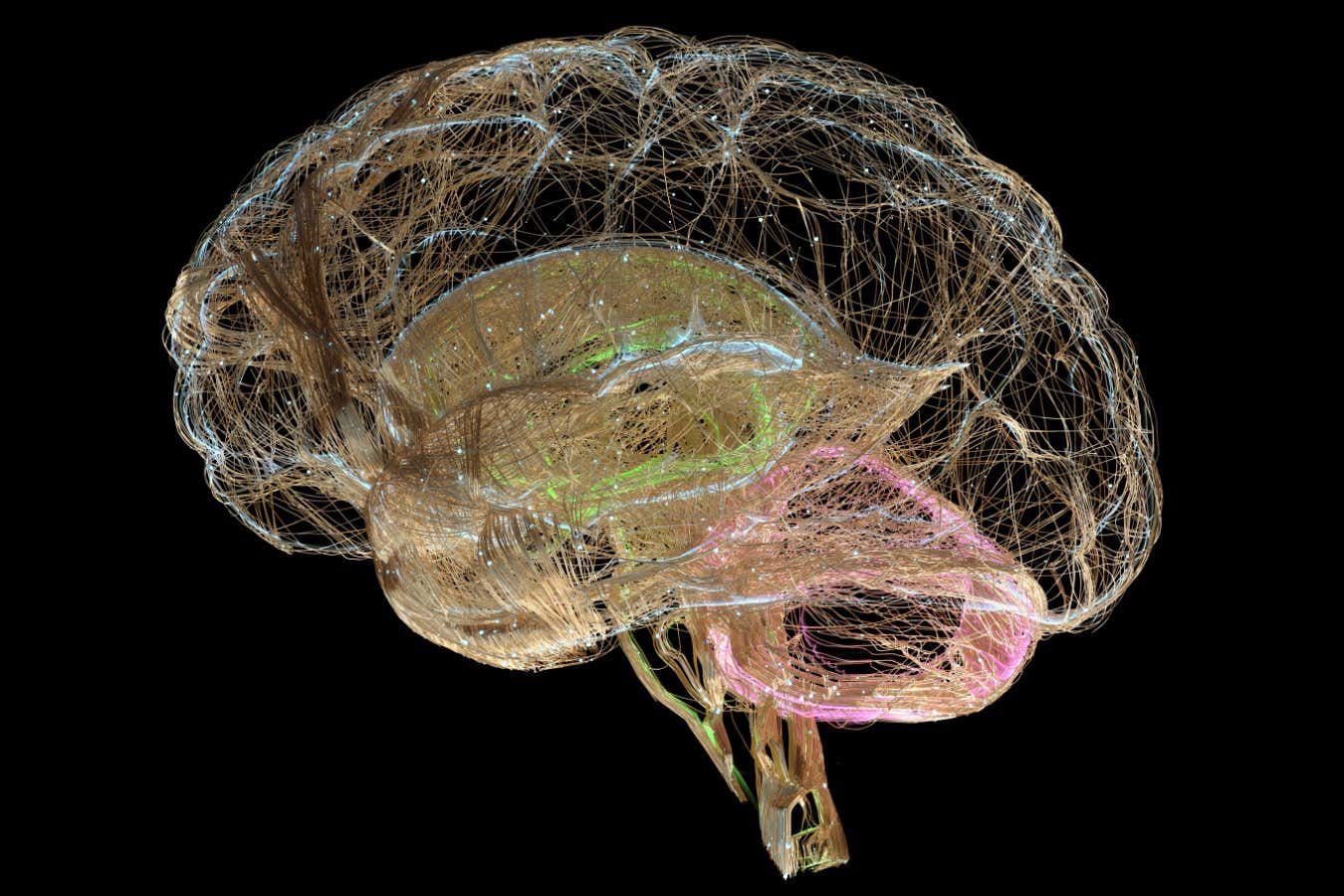 A human brain made with golden wires