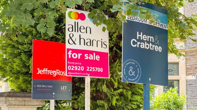 Article thumbnail image