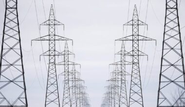 Green stocks outperform world markets amid AI energy boom