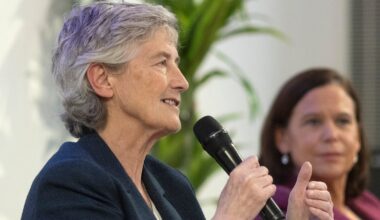 the real winners (and losers) of the presidential election – The Irish Times