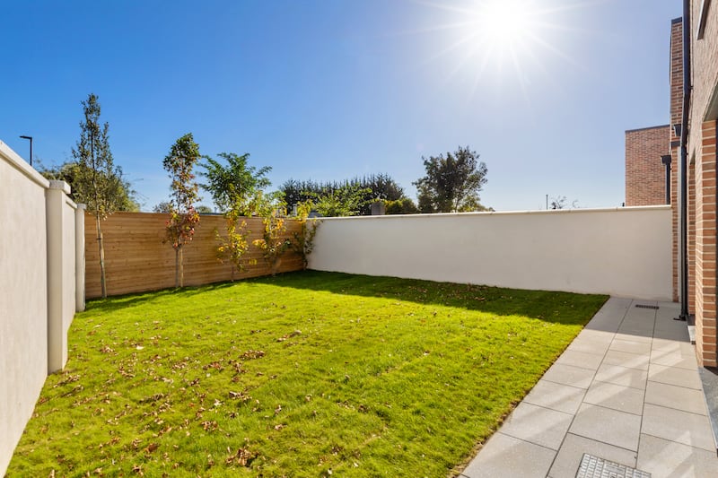 Back garden