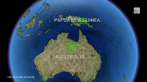 Where the exotic turtle was located