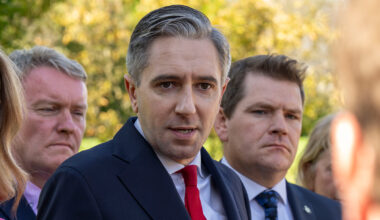Which TDs voted confidence in Simon Harris?