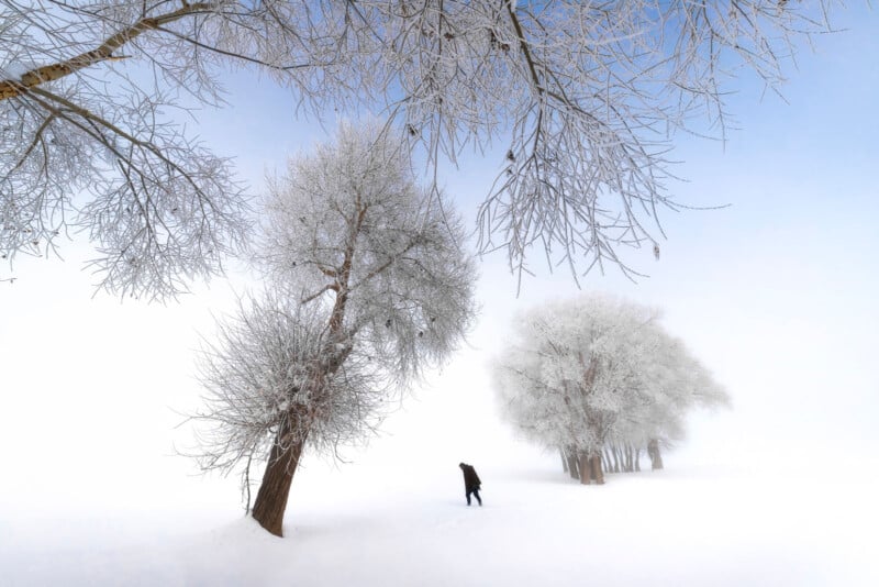 A person dressed in black walks through a snowy landscape with frost-covered trees under a pale blue sky, creating a serene winter scene.