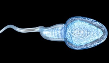 Lifestyle choices and hormonal imbalances can impact men's reproductive health