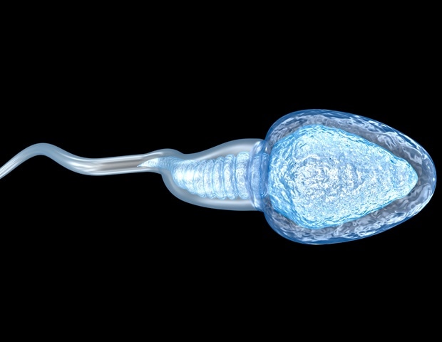 Lifestyle choices and hormonal imbalances can impact men's reproductive health