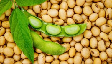 China Doesn't Need US Beans: Teucrium MD On Why…