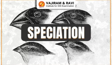 Speciation