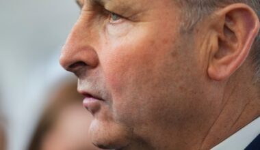 Micheál Martin apologises for party’s abandoned presidential campaign – The Irish Times