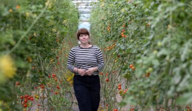 The rural Dublin family farm where the best chefs in Ireland source their produce – The Irish Times