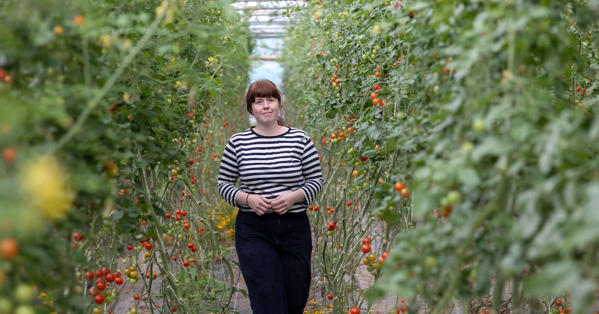 The rural Dublin family farm where the best chefs in Ireland source their produce – The Irish Times