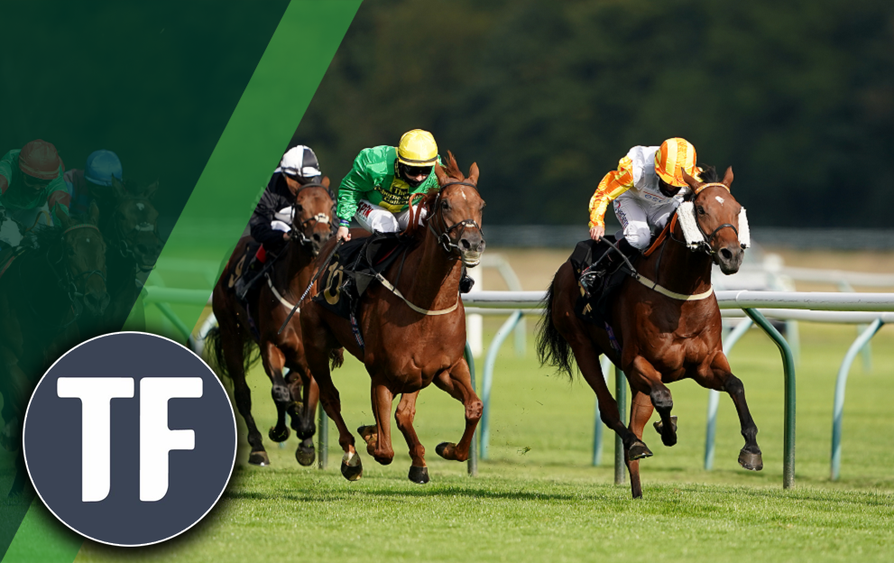Timeform’s Wednesday Wagers at Nottingham – Paddy Power News