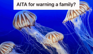 jellyfish in blue water