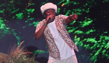 Tyler, The Creator Likes Tweet Criticizing White Fans' Treatment Of Black Music