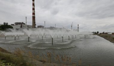 Provoking deep anger over crimes against creation – The Irish Times