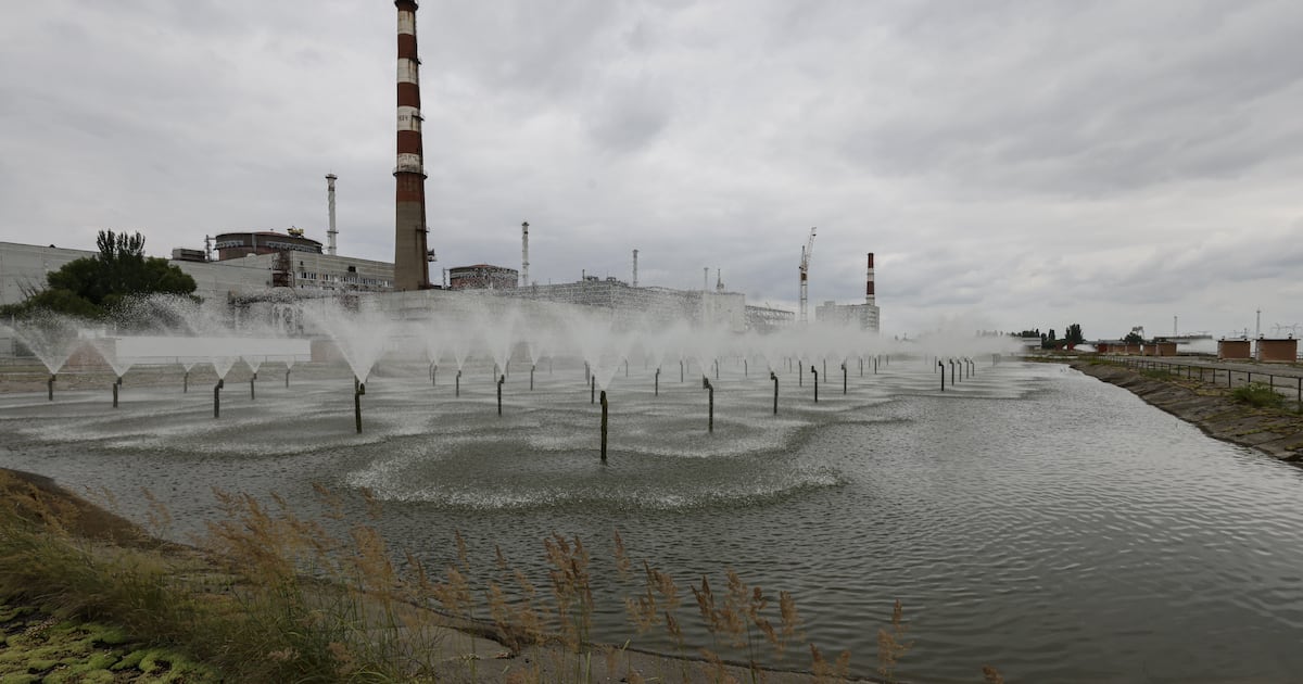 Provoking deep anger over crimes against creation – The Irish Times