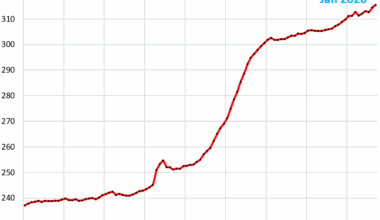Food Inflation: The Price Spikes of Beef, Coffee, Eggs, and Dairy