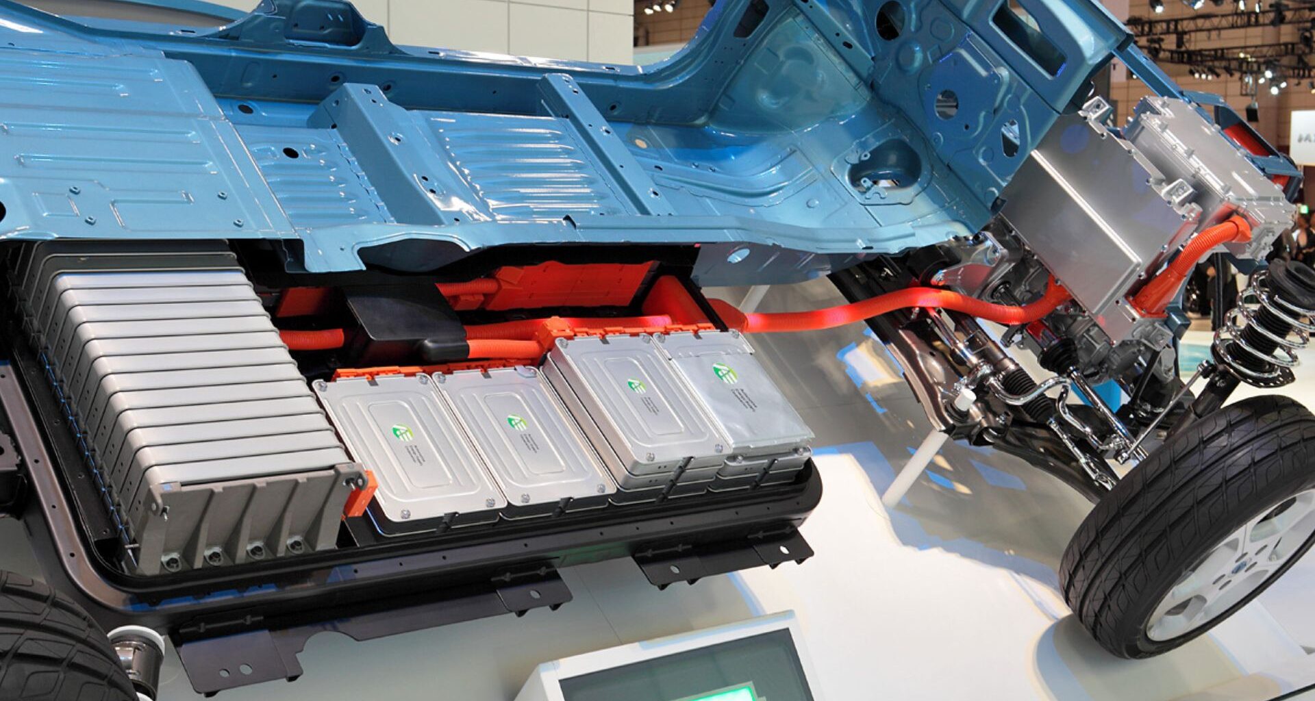 Chimpanzees weigh evidence before deciding, much like people, study shows