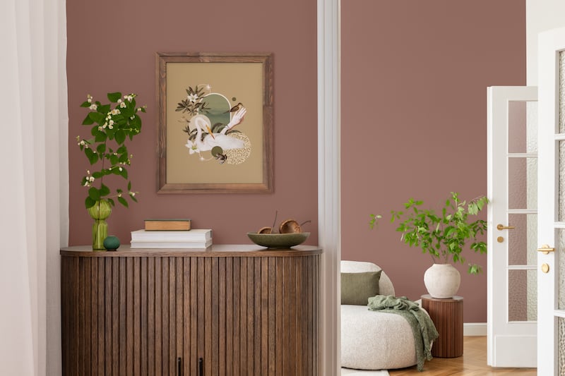 Colourtrend Rua Dusk