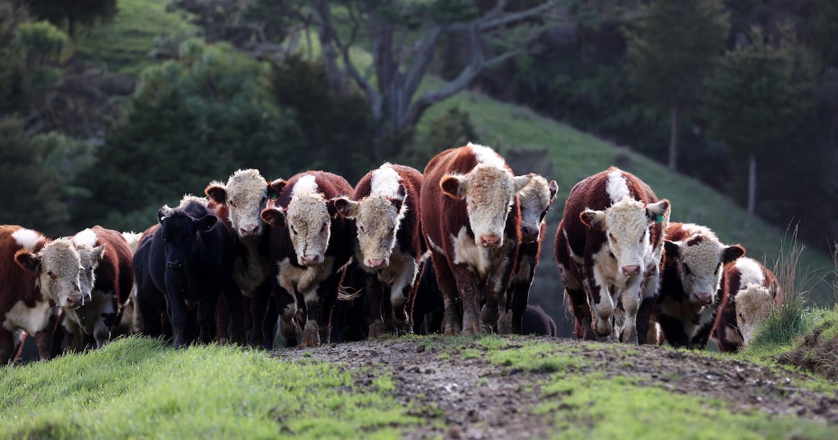 Ireland urged not to follow New Zealand in changing methane targets – The Irish Times