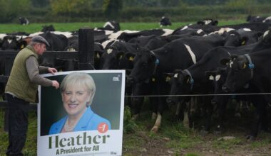 What went wrong in the Heather Humphreys campaign? – The Irish Times