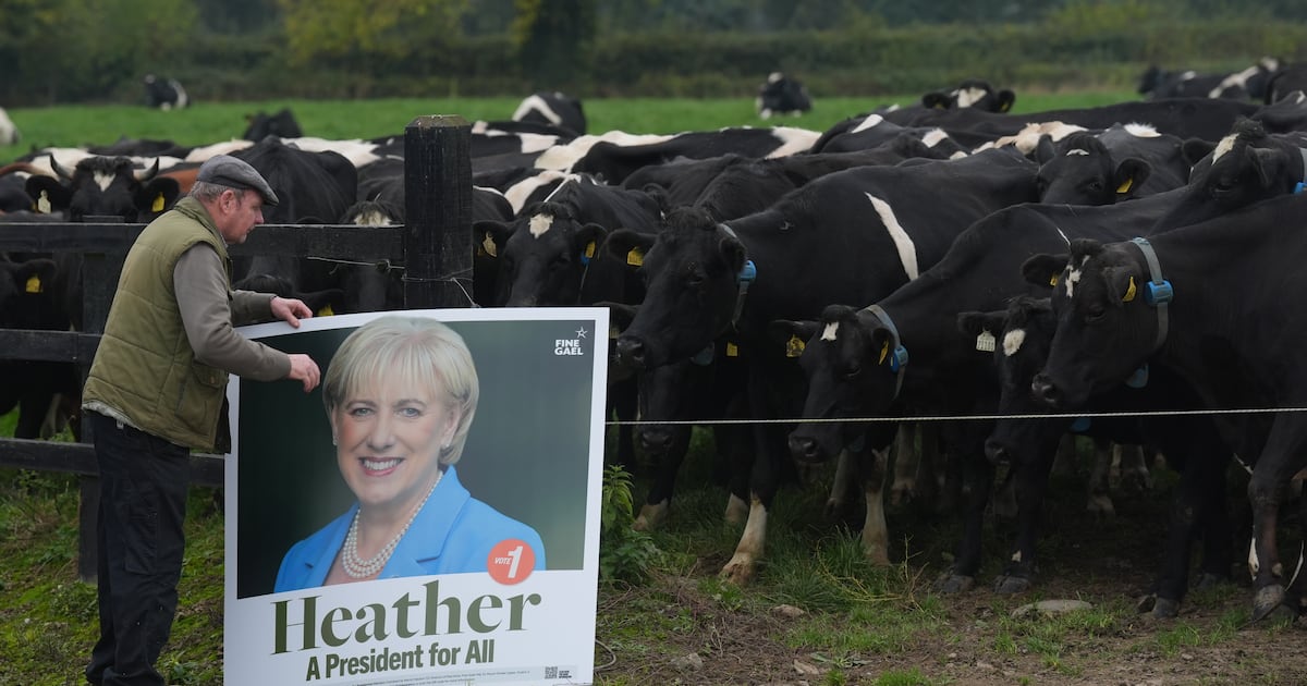 What went wrong in the Heather Humphreys campaign? – The Irish Times