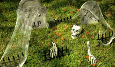 Plastic Halloween bones will still be around centuries after ours have fed the Earth – The Irish Times