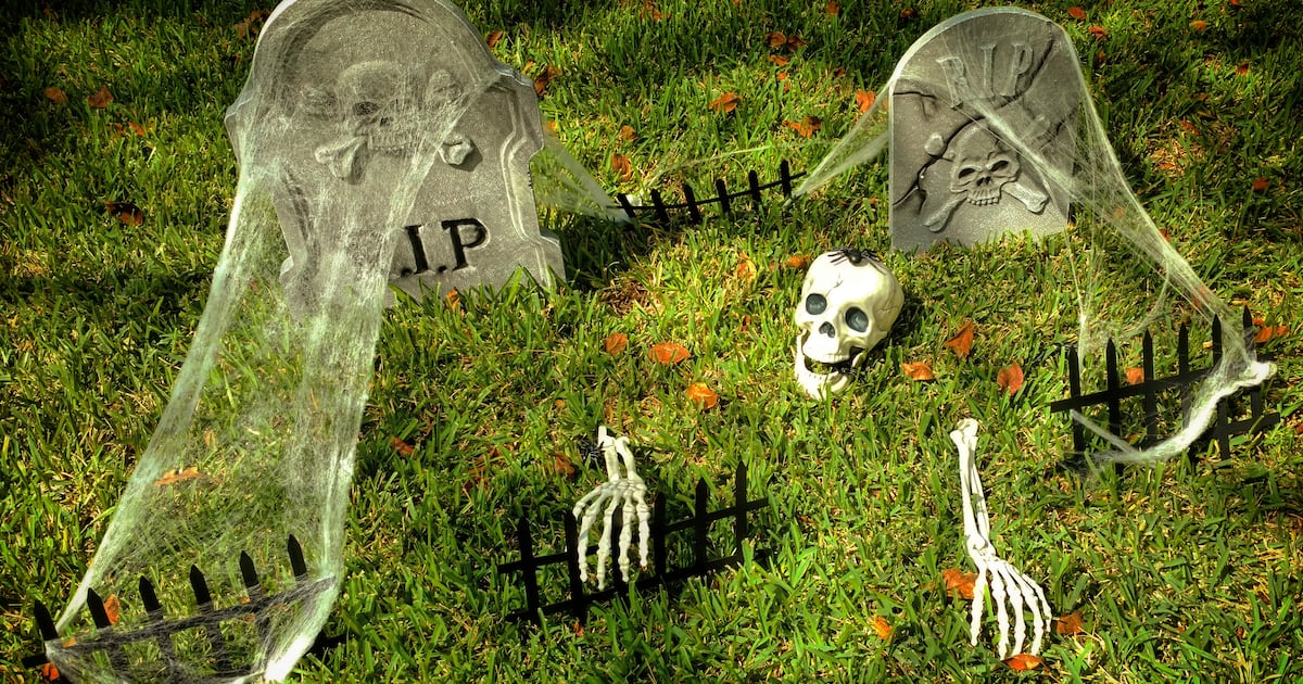 Plastic Halloween bones will still be around centuries after ours have fed the Earth – The Irish Times