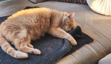 Weekend Reading - Spending Regrets