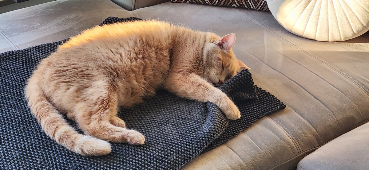 Weekend Reading - Spending Regrets